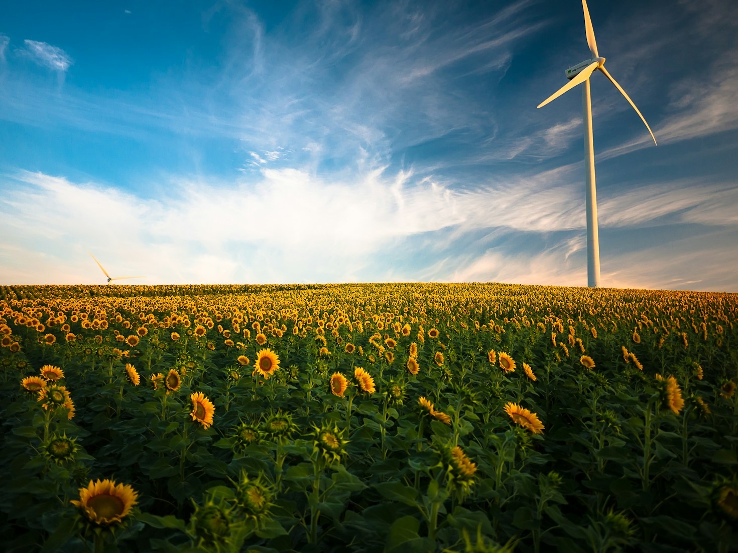 How Art Can Transform Environmental Awareness